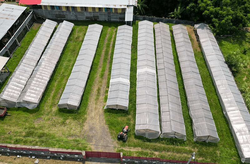 695c072159bc0_greenhouse2-e1767700693967