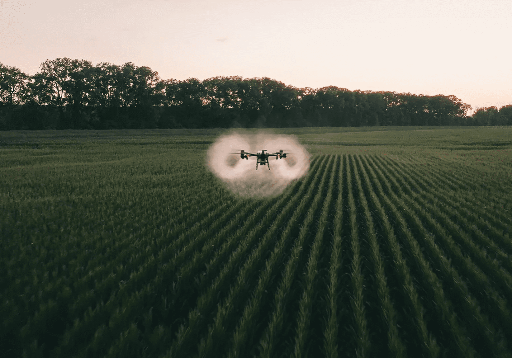 j150-seeding-picture-ff04347 1
